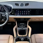 Porsche Cayenne E-Hybrid G2001 8