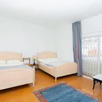 8 Bedroom Detached Villa in Nueva Andalucía 3