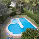 3 Bedroom Ground Floor Apartment in Nueva Andalucía 9