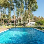 2 Bedroom Top Floor Apartment in Puerto Banús 10