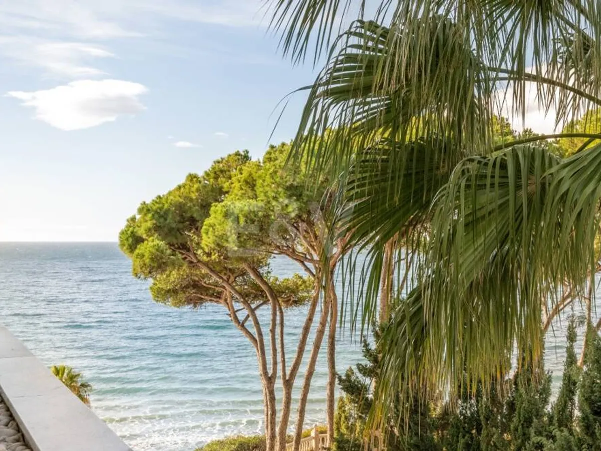 Beachfront Apartment With Direct Promenade Access in a Premium Residential Complex