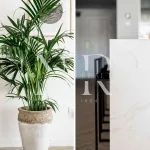 Apartment in Nueva Andalucia for sale 13