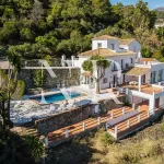Classic Andalusian-style villa for sale in El Madroñal 1
