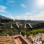 Classic Andalusian-style villa for sale in El Madroñal 3