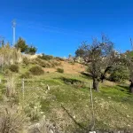 Land For sale in Spain 4