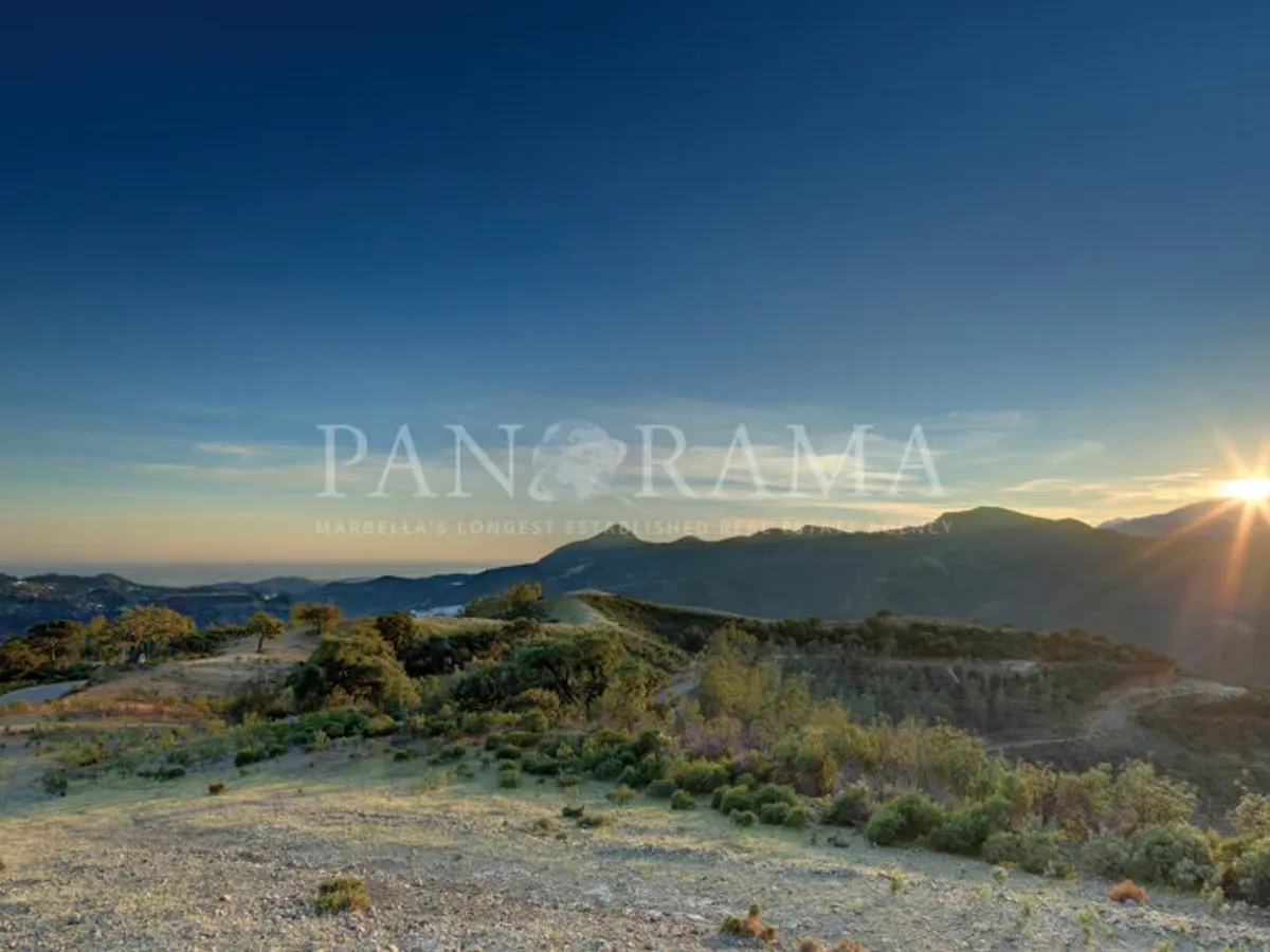 Property for sale in La Zagaleta: luxury, exclusivity and security in Benahavís