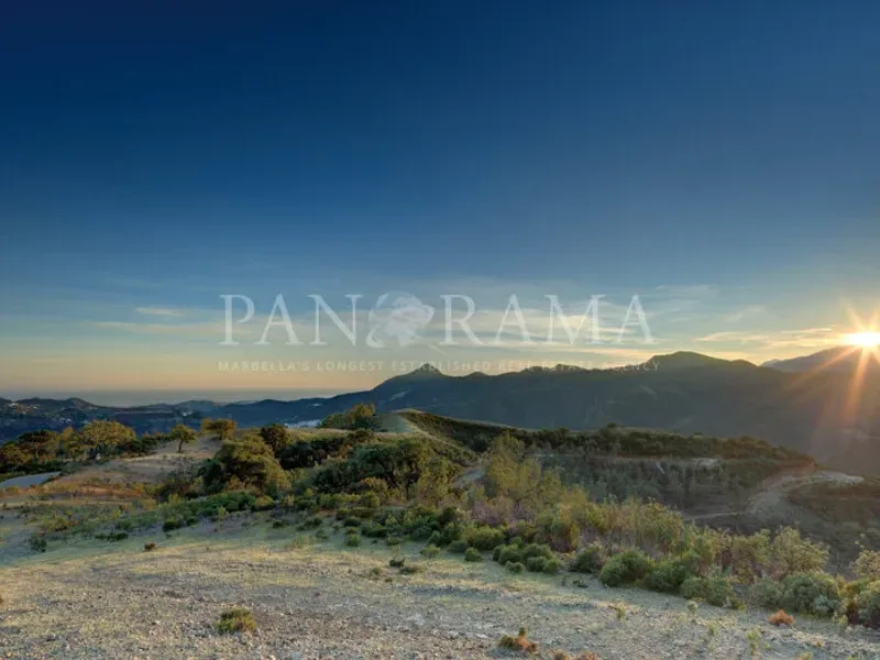 Property for sale in La Zagaleta: luxury, exclusivity and security in Benahavís