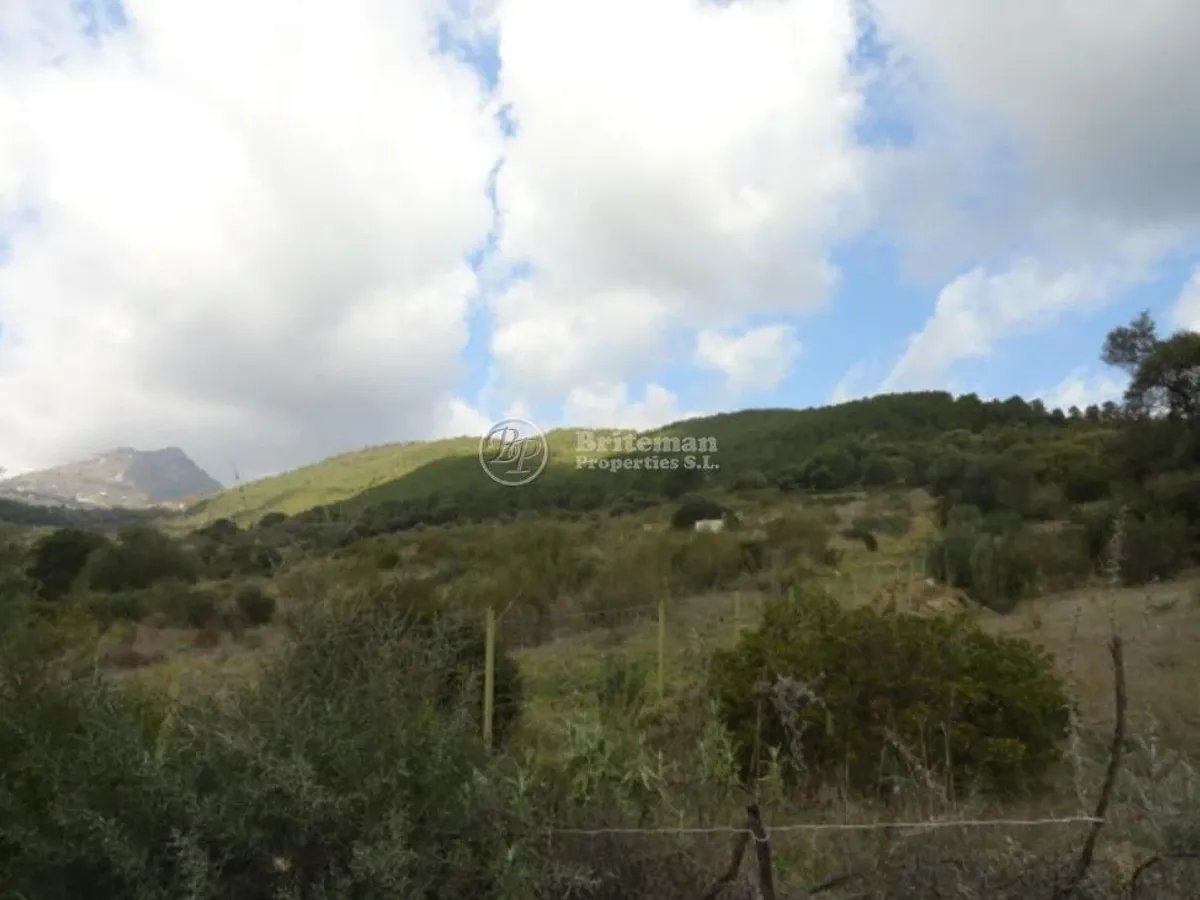 Country Properties for sale in Malaga