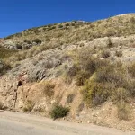 Expansive Plot with Panoramic Views in Sierra Gorda, Coin, Malaga 9