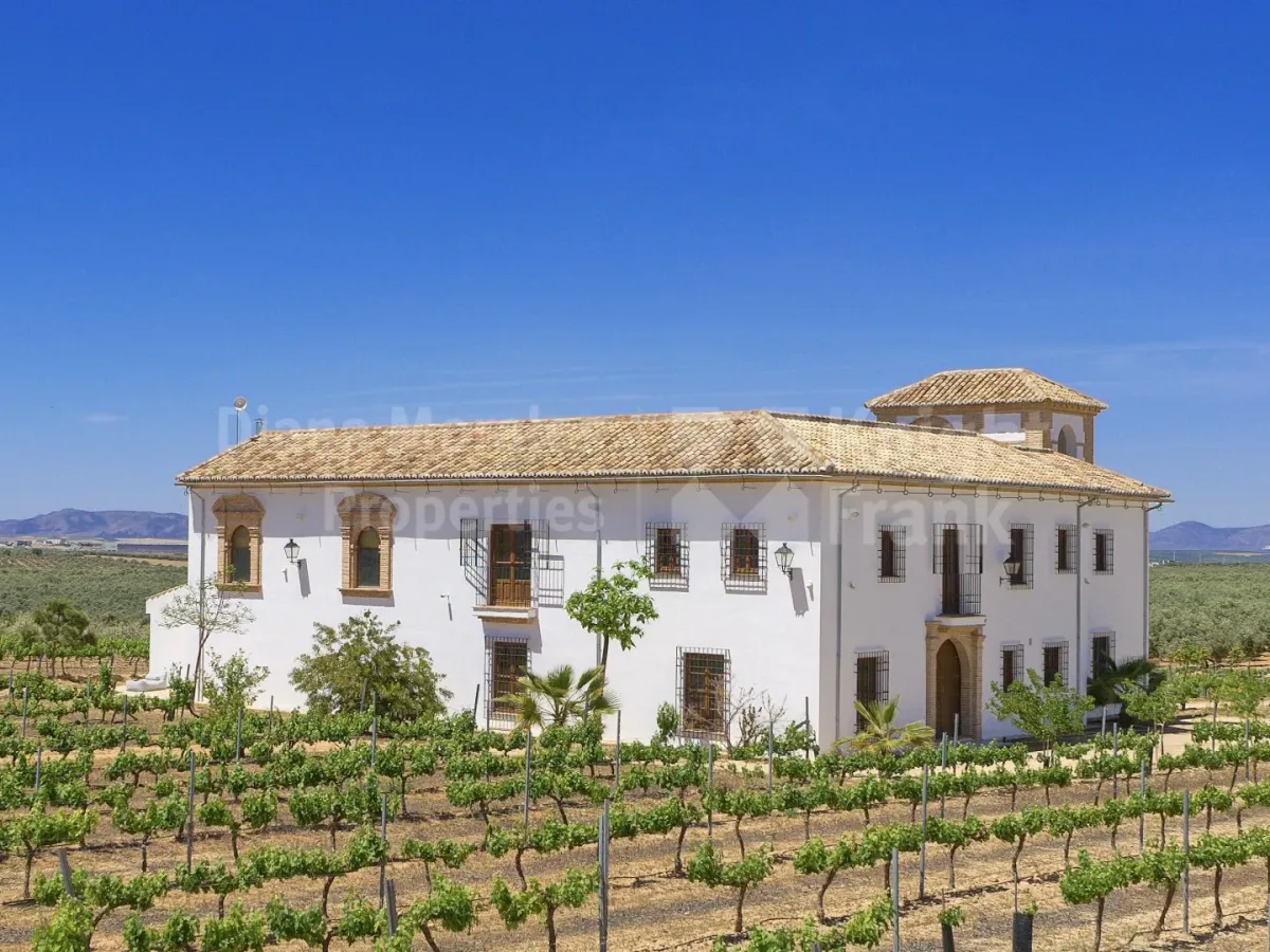 Properties for sale in Antequera