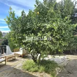 3 Bedroom Villa For SaleNueva Andalucía 2