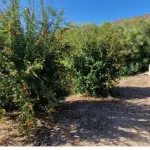 3 Bedroom Villa For SaleLa Cala de Mijas 7