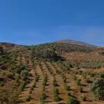 5 Bedroom Villa For SaleMálaga 1