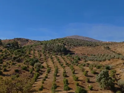 5 Bedroom Villa For SaleMálaga