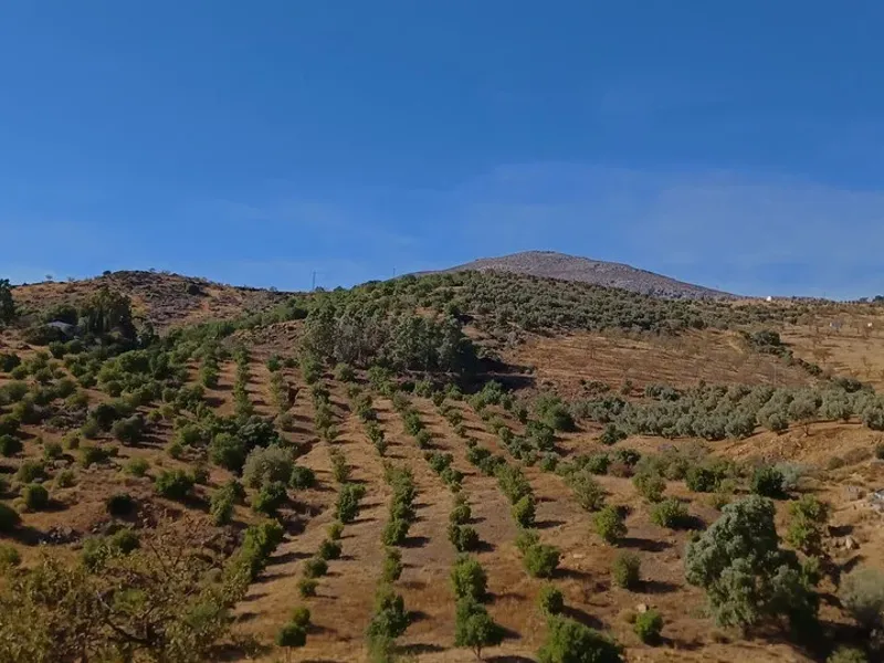 5 Bedroom Villa For SaleMálaga