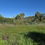 For sale of rural property in Estepona, Monterroso alto 4