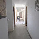 For sale of rural property in Estepona, Monterroso alto 8