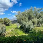 7 Bedroom Villa For SaleEl Rosario 8