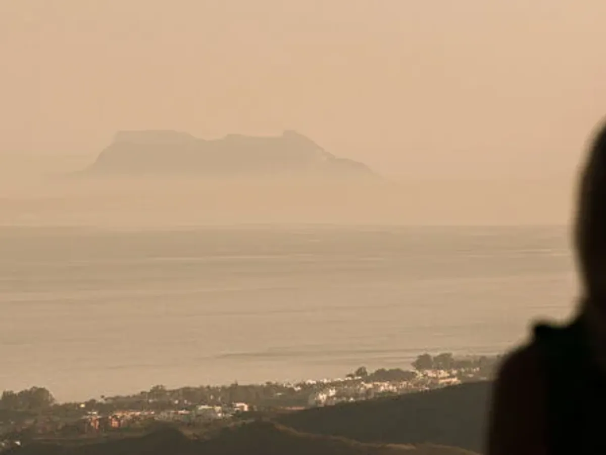 The Net - A south-east facing plot with project in La Zagaleta with panoramic sea and mountain views