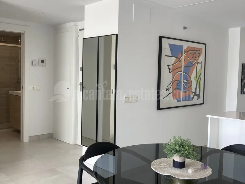 Rare opportunity ELEMENTS - Altos de Los Monteros / New construction from 2022, 1 room bijou 58m2 like first occupancy fully furnished with sea views