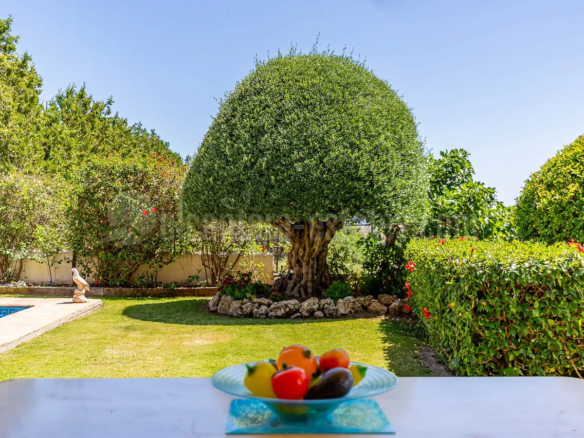 Villa for sale in Balcon de San Pedro