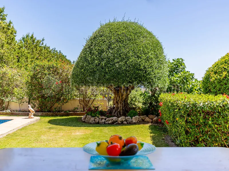 Villa for sale in Balcon de San Pedro