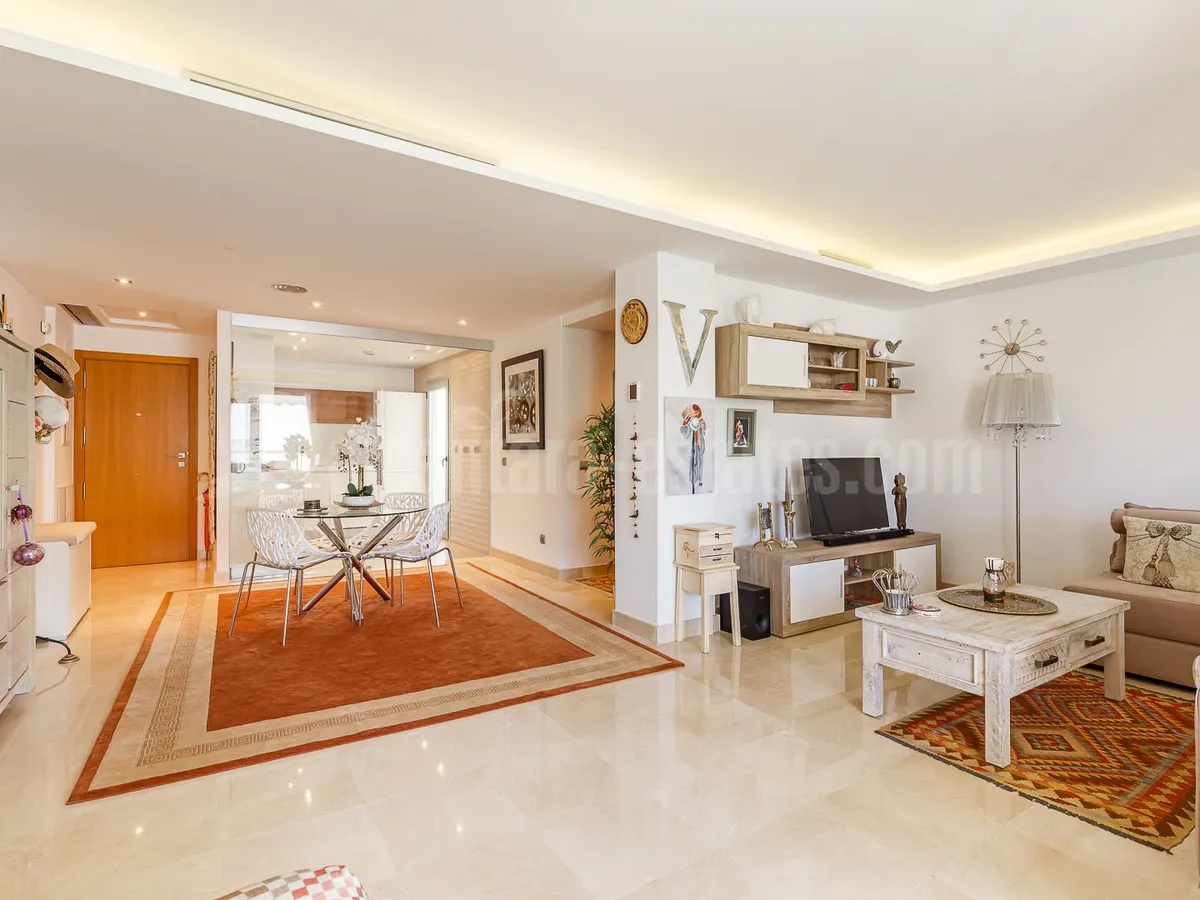 Penthouse with solarium on San Pedro Beach