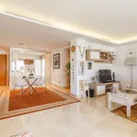 Penthouse with solarium on San Pedro Beach 4