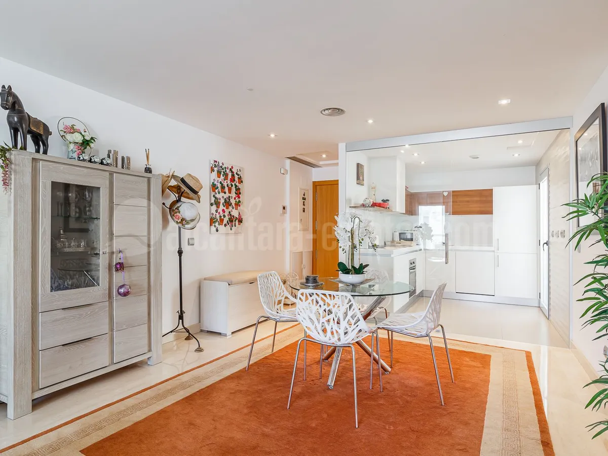 Penthouse with solarium on San Pedro Beach