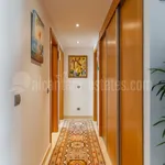 Penthouse with solarium on San Pedro Beach 12