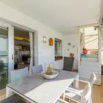 Penthouse with solarium on San Pedro Beach 14