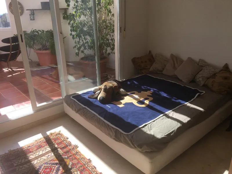 Bright Sea-View Duplex Penthouse Near the Boulevard in San Pedro de Alcántara