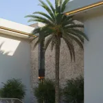 Brand New Villa in La Zagaleta with panoramic views 3