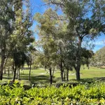 Fantastic 2-bedroom apartment in Benatalaya, frontline golf gated community 11