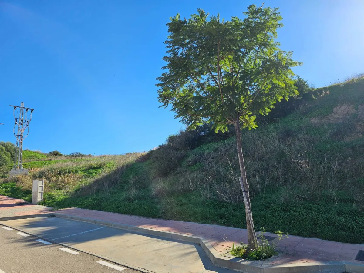 Exclusive Plot for Sale in Arroyo de Enmedio, Estepona West