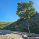 Plot in Arroyo de Enmedio, with views of Valle Romano Golf 4