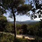 Excellent plot with 2,000m² garden for sale in Vallromanes, Barcelona 1