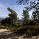 Excellent plot with 2,000m² garden for sale in Vallromanes, Barcelona 2