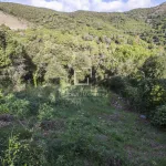Excellent plot with 2,000m² garden for sale in Vallromanes, Barcelona 8