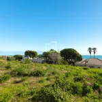 Plot for sale in Teià, Barcelona 8