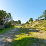 Plot for sale in Teià, Barcelona 13