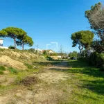 Plot for sale in Teià, Barcelona 15