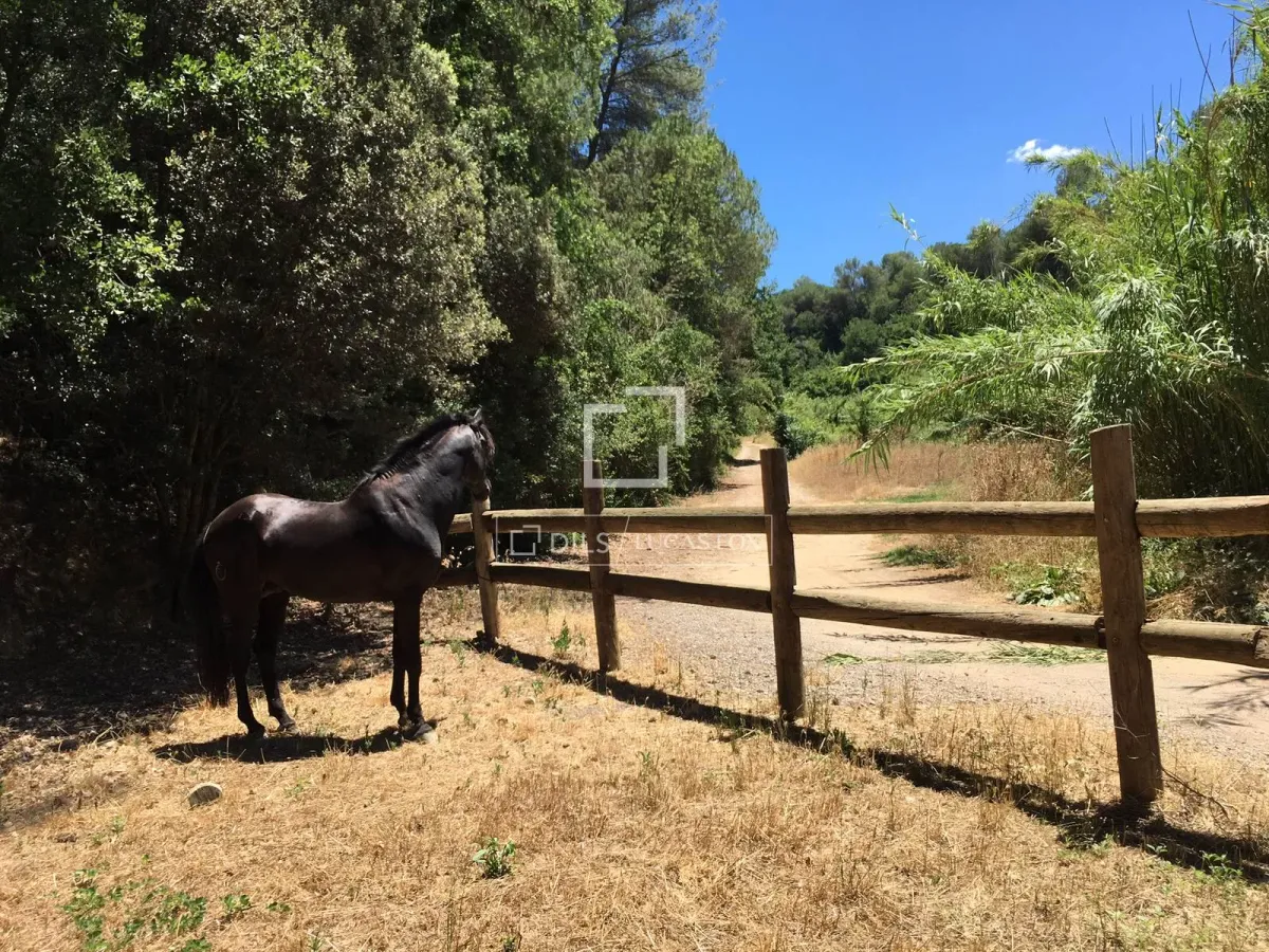 Plot for sale in Sant Cugat, Barcelona