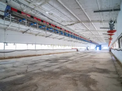 ## NAVES CON PARCELA N.:5269 (Precio: 435.000 Euro)