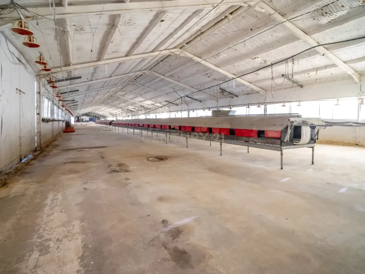 ## NAVES CON PARCELA N.:5269 (Precio: 435.000 Euro)