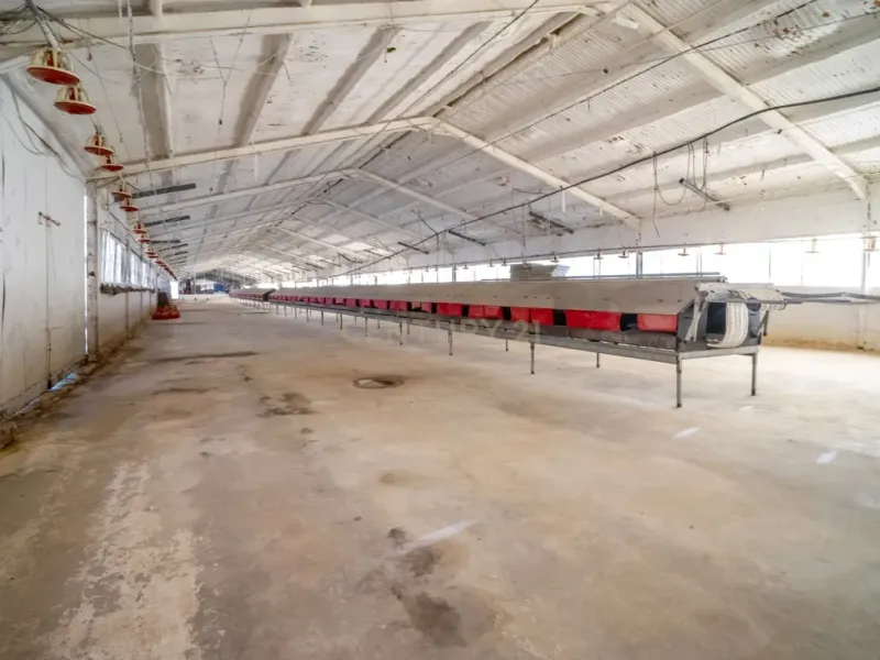 ## NAVES CON PARCELA N.:5269 (Precio: 435.000 Euro)