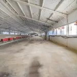 ## NAVES CON PARCELA N.:5269 (Precio: 435.000 Euro) 3