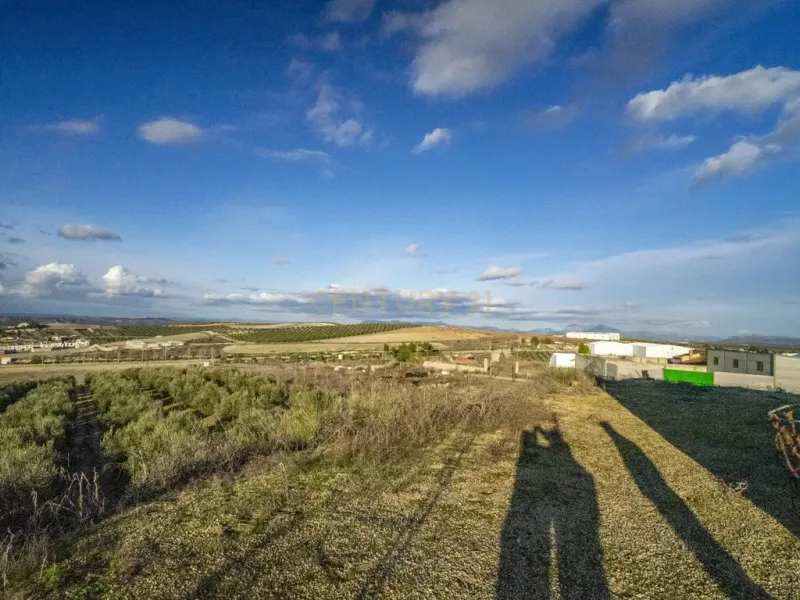 ## NAVES CON PARCELA N.:5269 (Precio: 435.000 Euro)