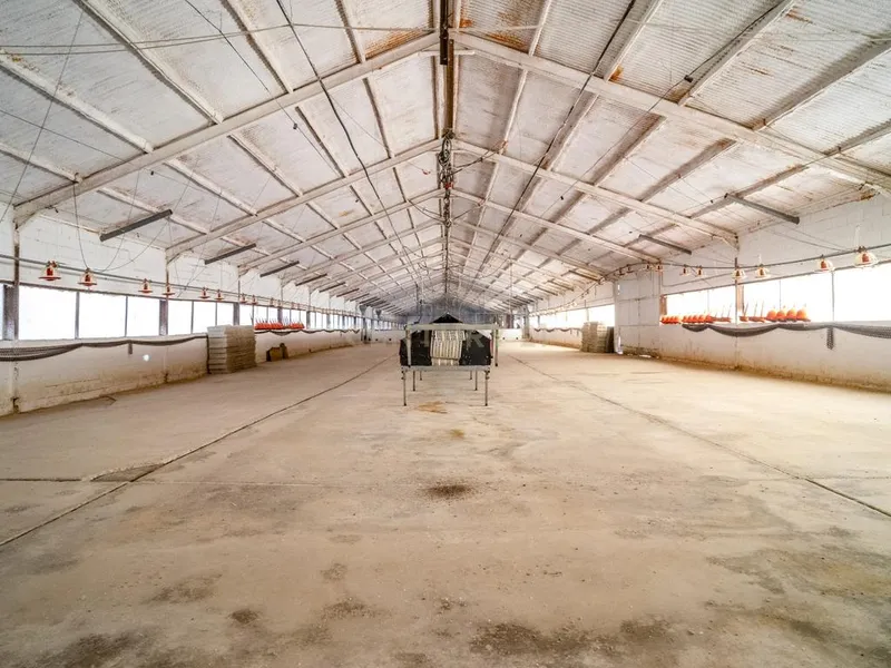 ## NAVES CON PARCELA N.:5269 (Precio: 435.000 Euro)