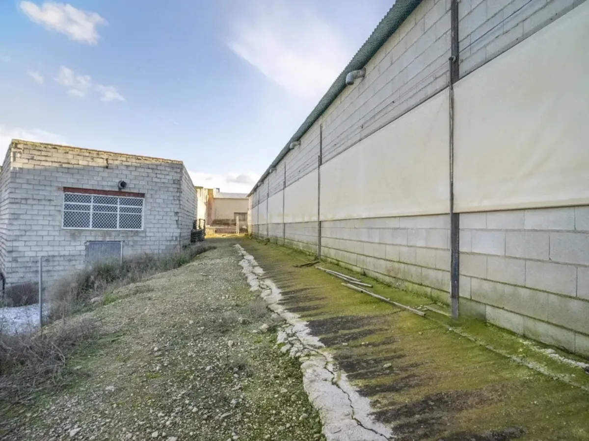 ## NAVES CON PARCELA N.:5269 (Precio: 435.000 Euro)